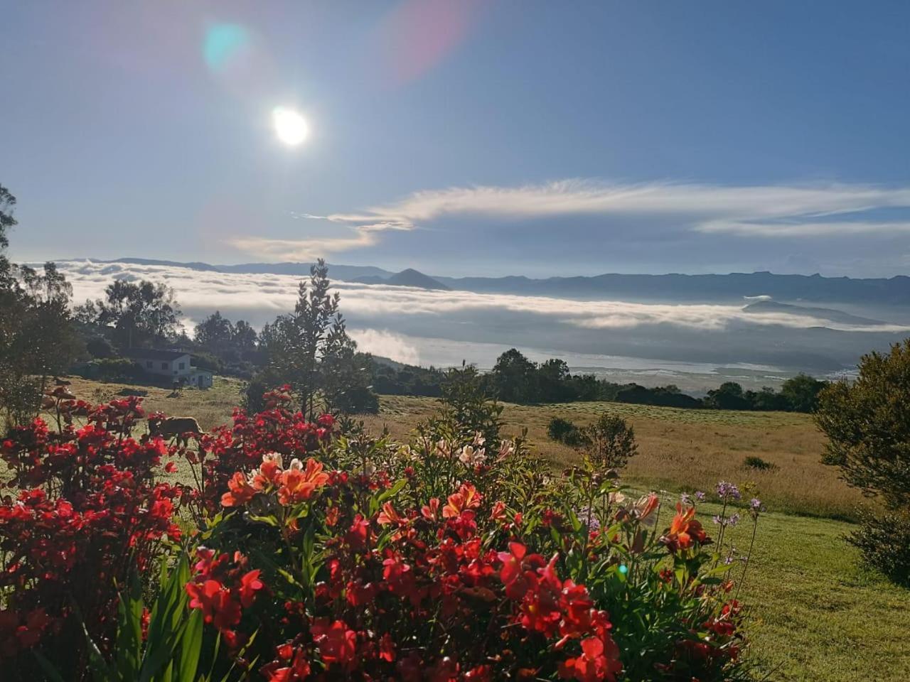 Glamping Hermoso Amanecer Guatavita Eksteriør billede