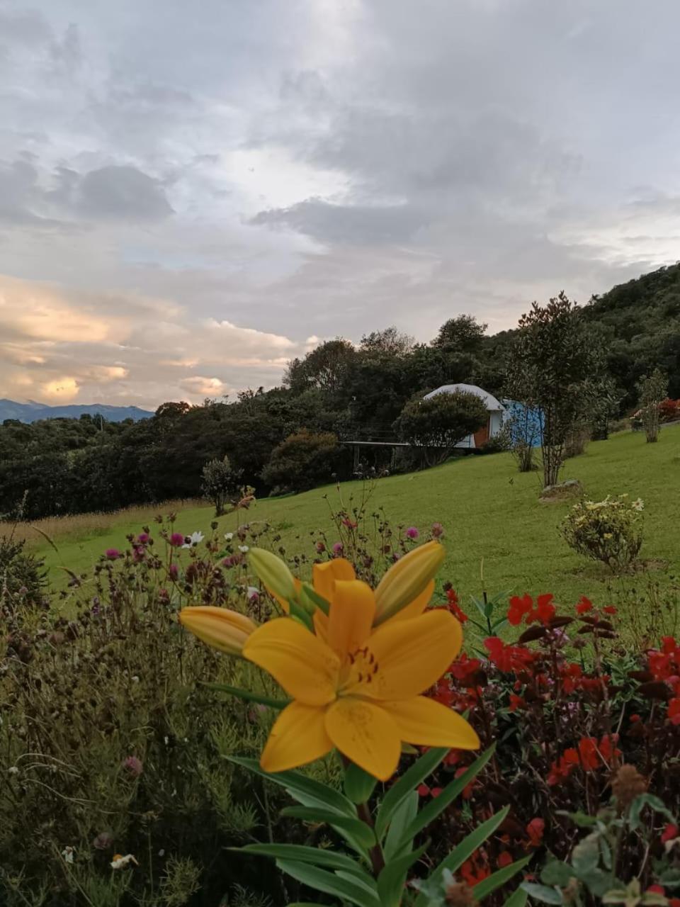 Glamping Hermoso Amanecer Guatavita Eksteriør billede